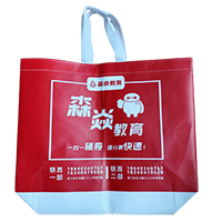 海北LB37培训班广告袋